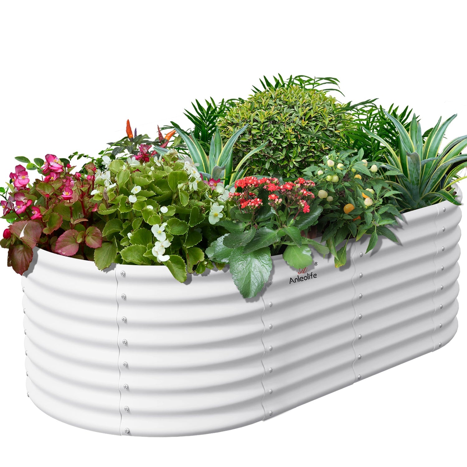 6x3x2ft White Oval Metal Raised Garden Bed, Sleek and Reliable